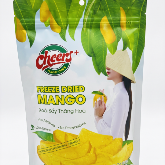Xoài Sấy Thăng Hoa, giữ trọn hương vị xoài, phù hợp quà tặng, snack cao cấp - Túi 100g - Viza Food
